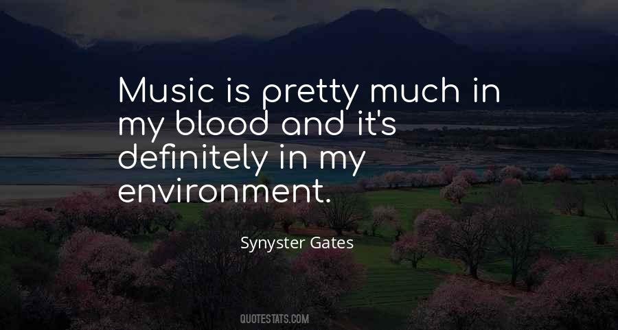 Synyster Gates Quotes #955201