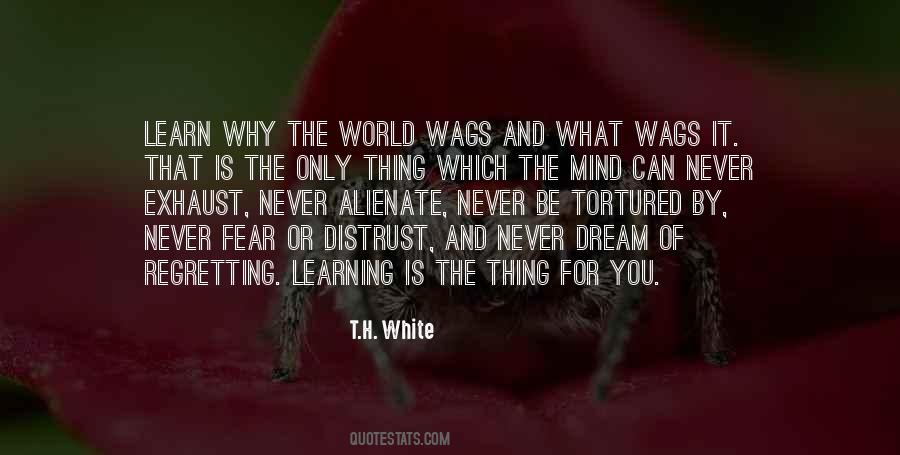 T.H. White Quotes #1219743