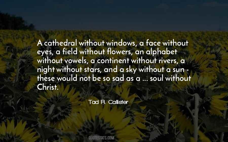 Tad R. Callister Quotes #1096406