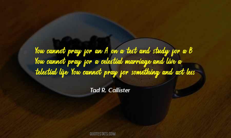 Tad R. Callister Quotes #800483