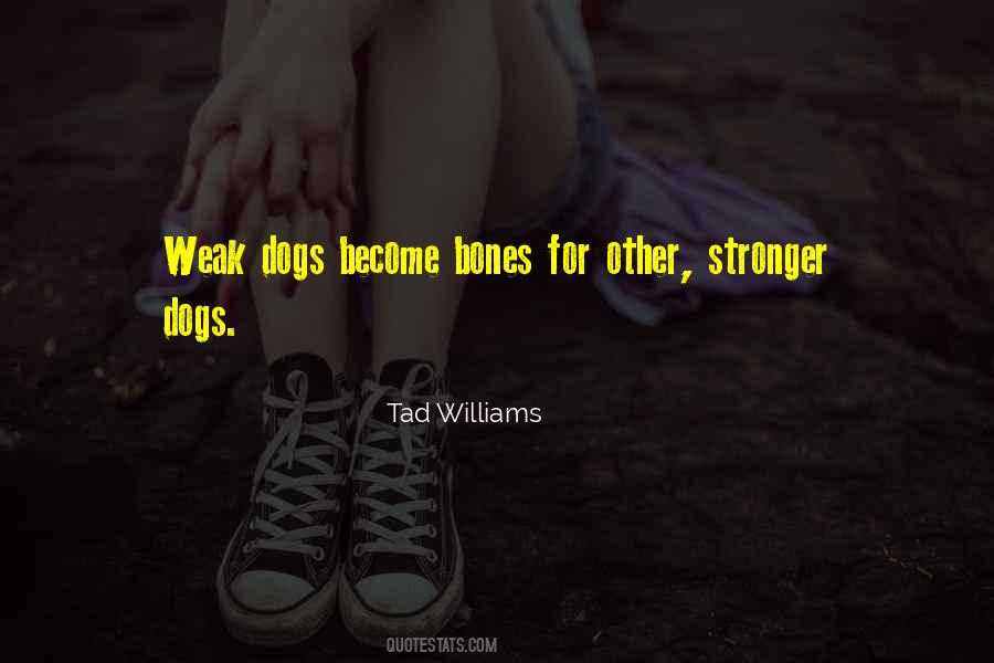 Tad Williams Quotes #635684