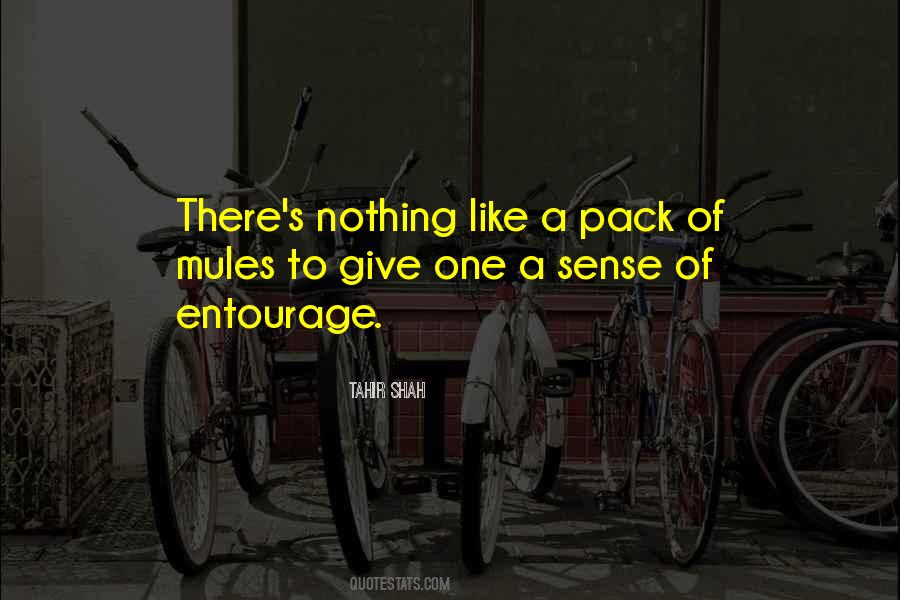Tahir Shah Quotes #1041975