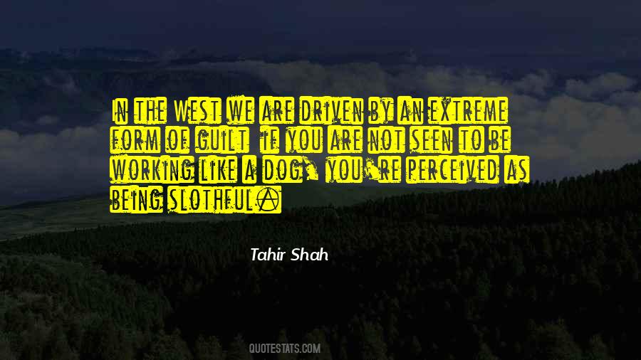 Tahir Shah Quotes #397629
