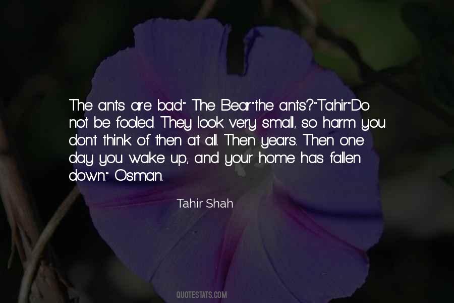 Tahir Shah Quotes #831022