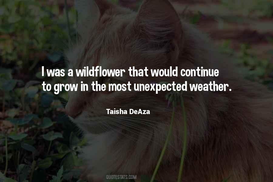 Taisha DeAza Quotes #714545