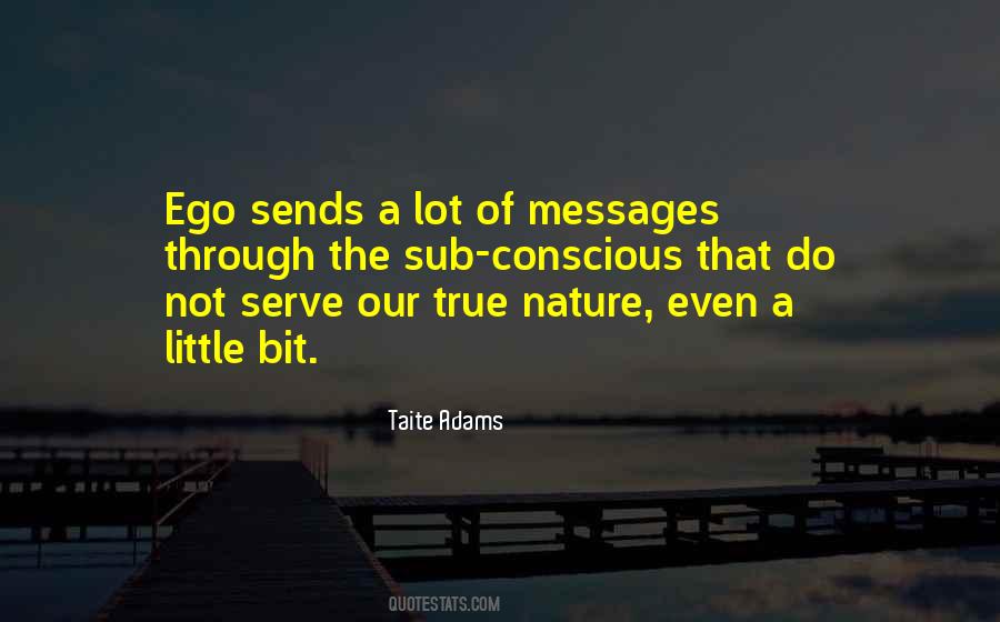 Taite Adams Quotes #130279