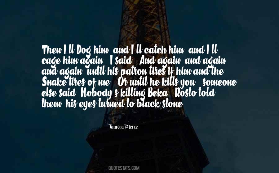 Tamora Pierce Quotes #745127