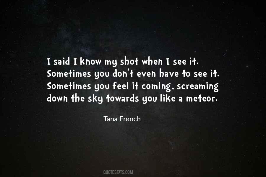 Tana French Quotes #183639