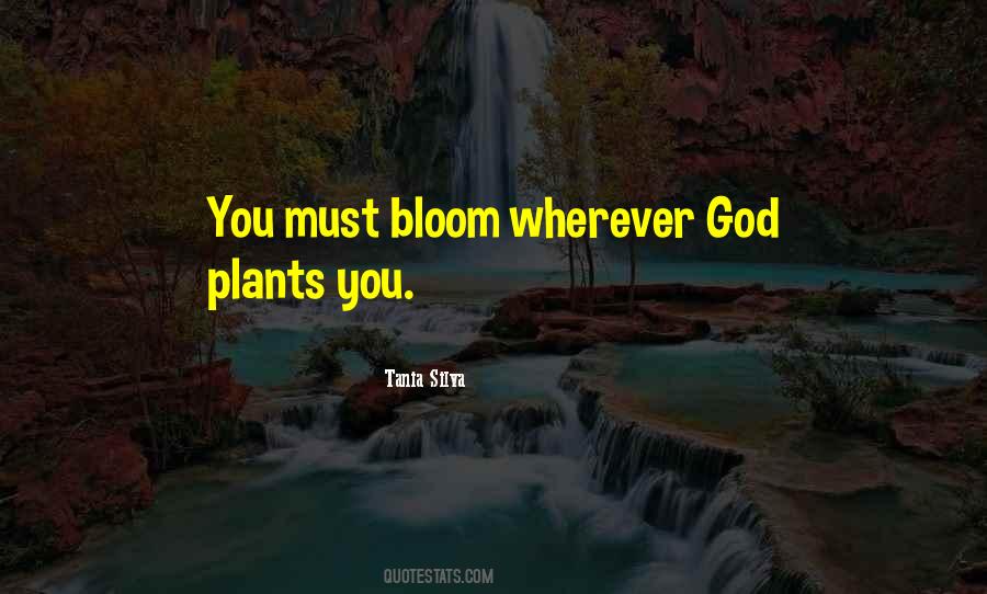 Tania Silva Quotes #281722 Tania Silva Quotes #281722