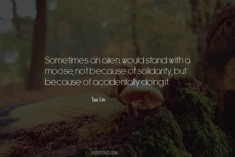 Tao Lin Quotes #1491158