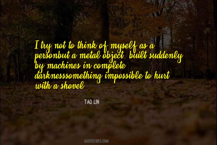Tao Lin Quotes #213605