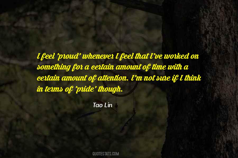 Tao Lin Quotes #851749