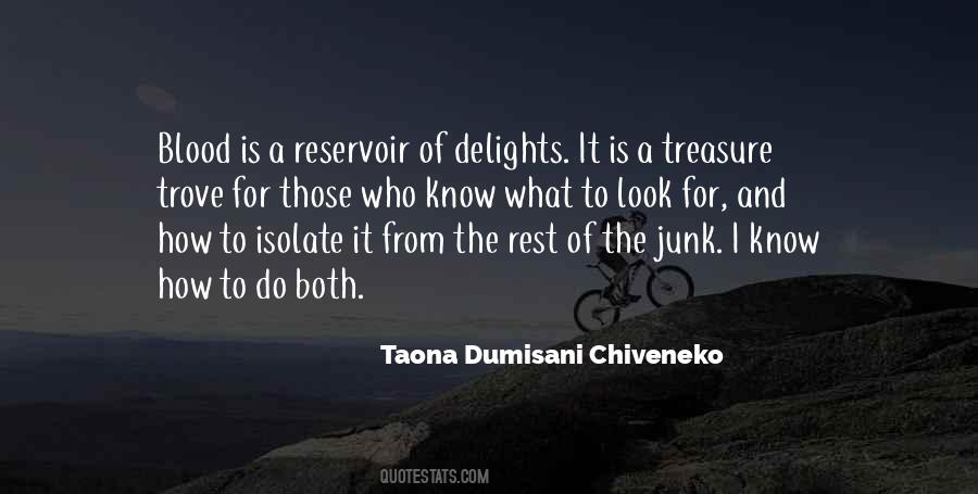 Taona Dumisani Chiveneko Quotes #1677142