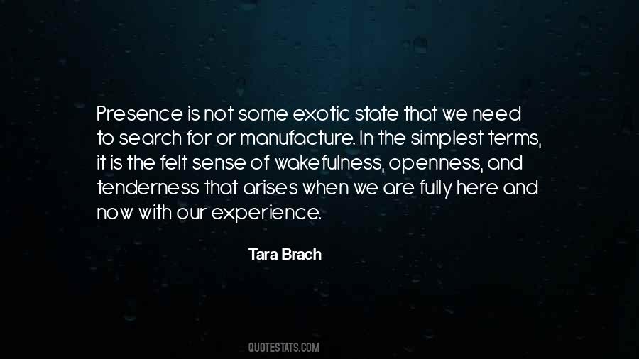 Tara Brach Quotes #1068284