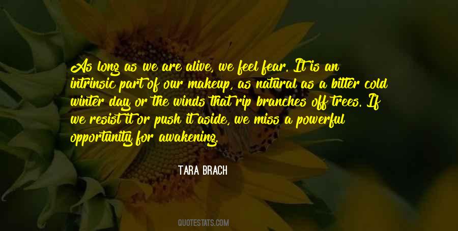 Tara Brach Quotes #1736461