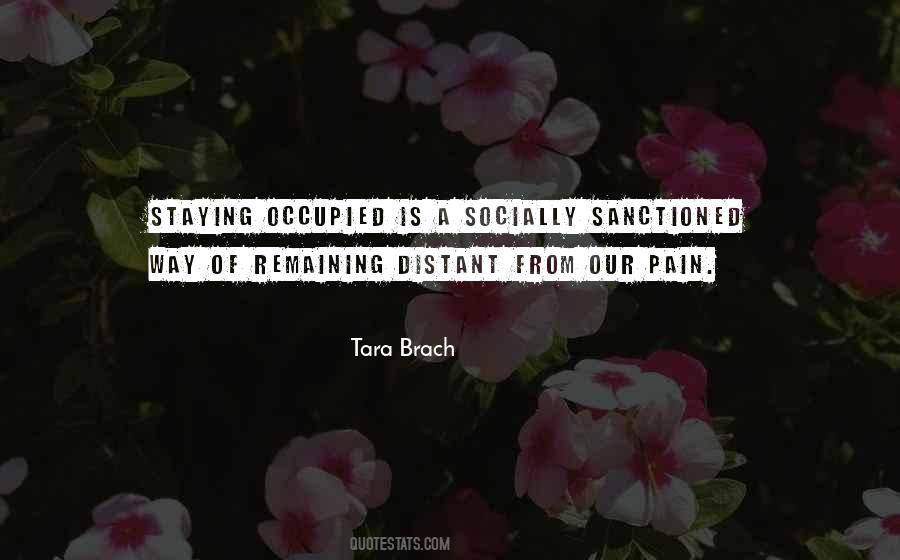 Tara Brach Quotes #685654