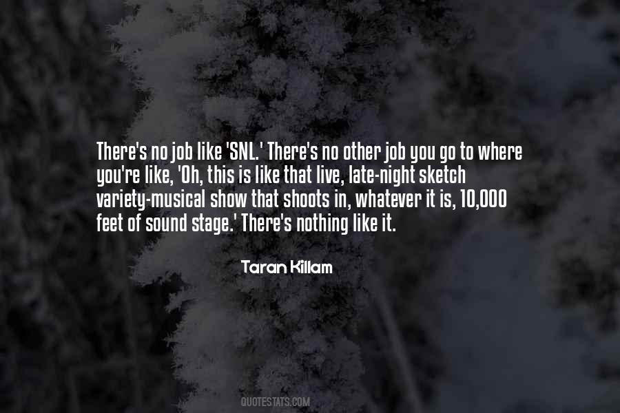 Taran Killam Quotes #482468