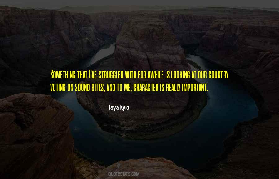 Taya Kyle Quotes #1333666