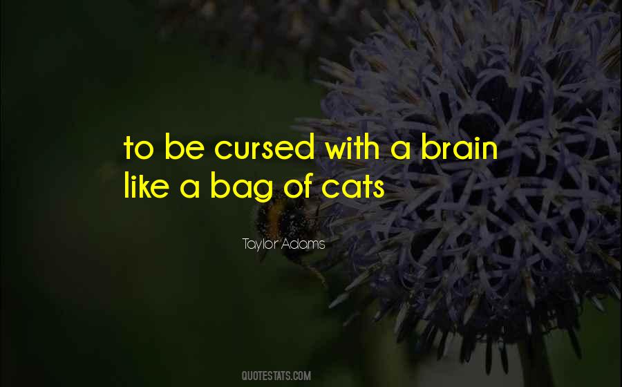 Taylor Adams Quotes #336008