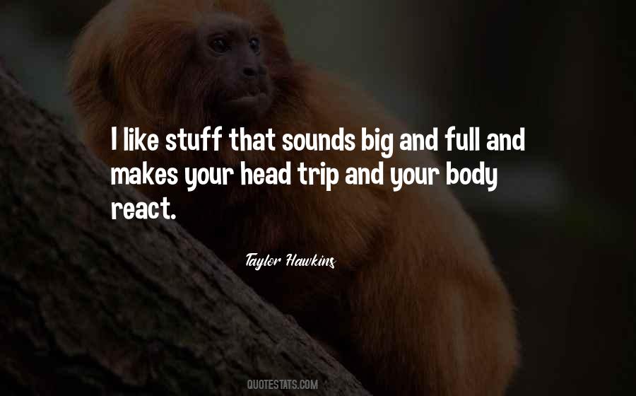 Taylor Hawkins Quotes #1499000