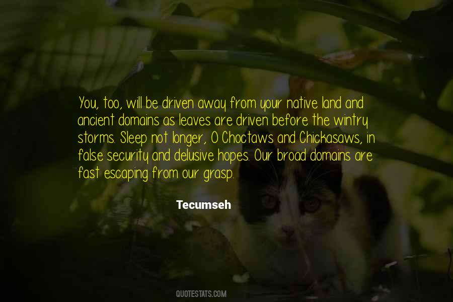 Tecumseh Quotes #328542