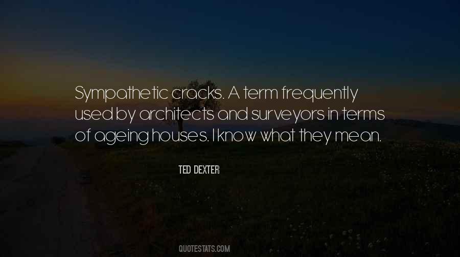 Ted Dexter Quotes #1378063