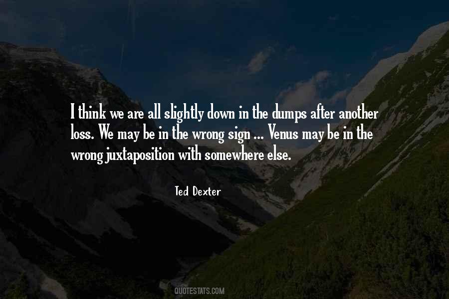 Ted Dexter Quotes #937781