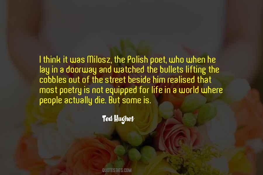 Ted Hughes Quotes #126712