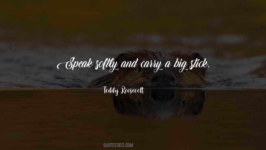 Teddy Roosevelt Quotes #512125