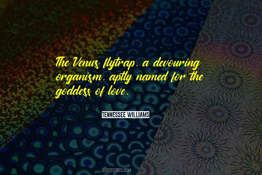 Tennessee Williams Quotes #17465