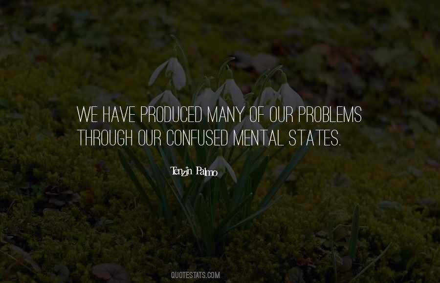 Tenzin Palmo Quotes #1377597