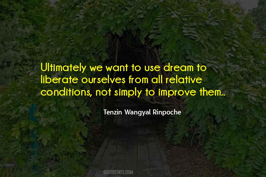 Tenzin Wangyal Rinpoche Quotes #1322753