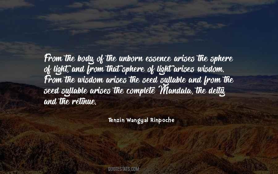 Tenzin Wangyal Rinpoche Quotes #1697696