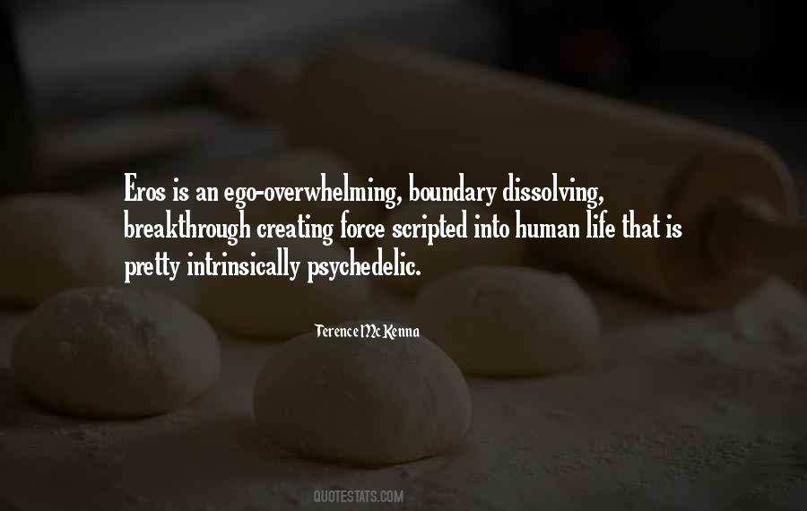 Terence McKenna Quotes #1794842