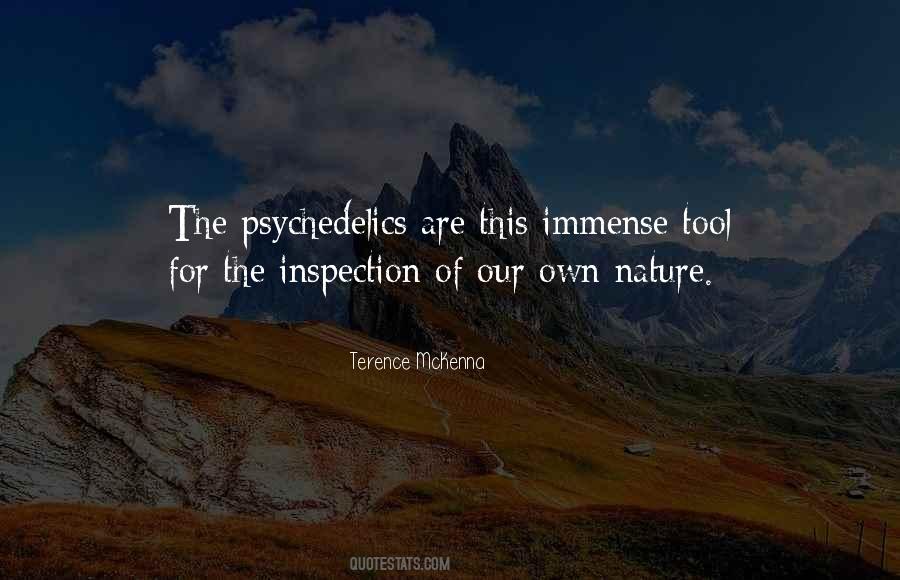 Terence McKenna Quotes #413494
