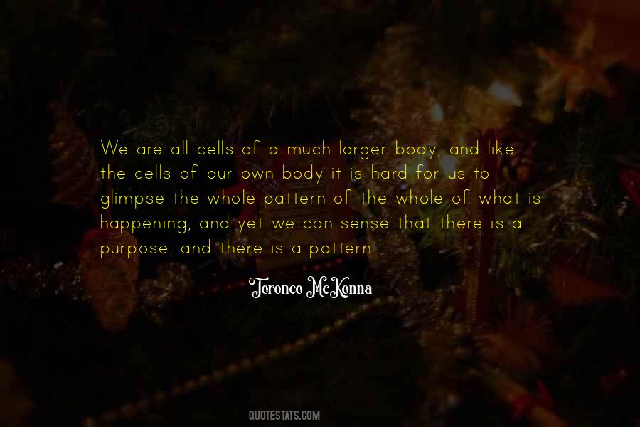 Terence McKenna Quotes #431701