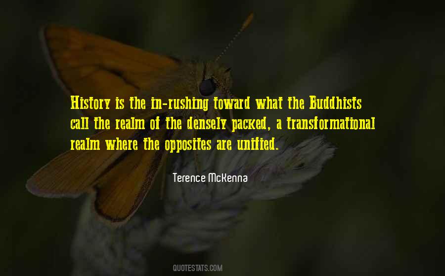 Terence McKenna Quotes #588931