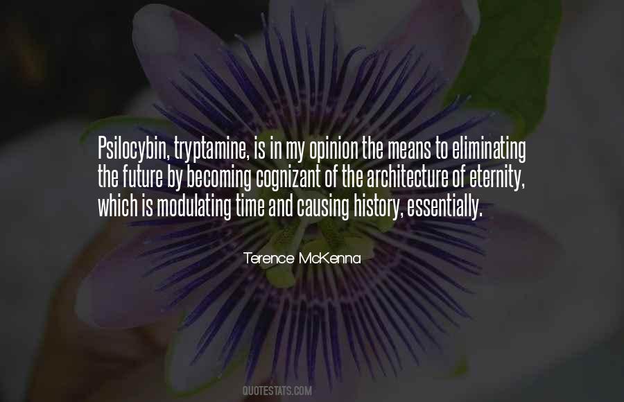 Terence McKenna Quotes #9994