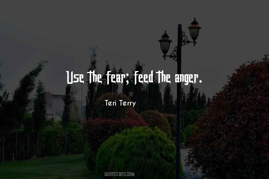 Teri Terry Quotes #195448