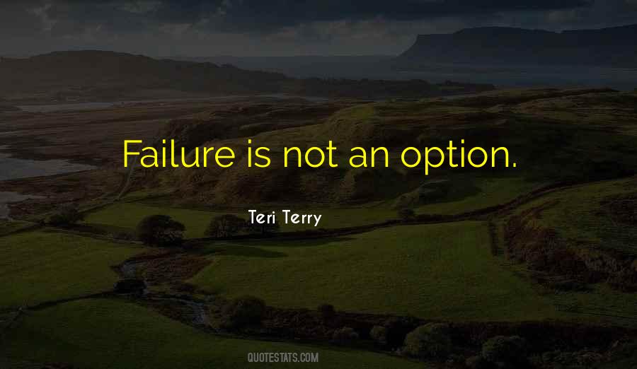 Teri Terry Quotes #803927