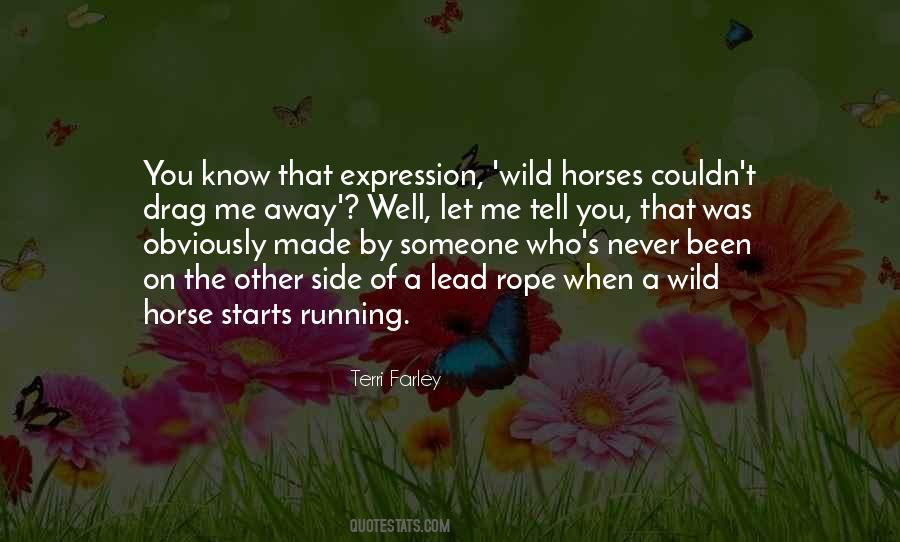 Terri Farley Quotes #58050