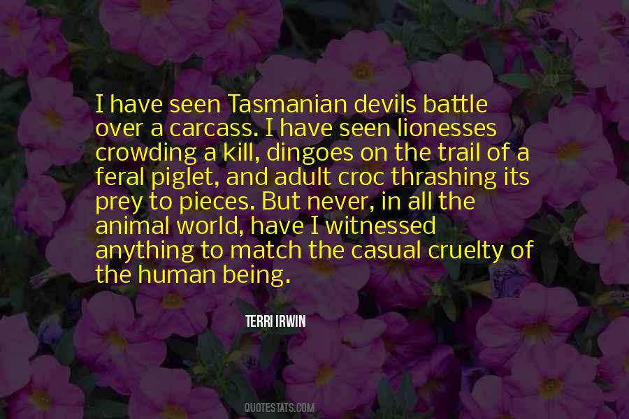 Terri Irwin Quotes #1045393