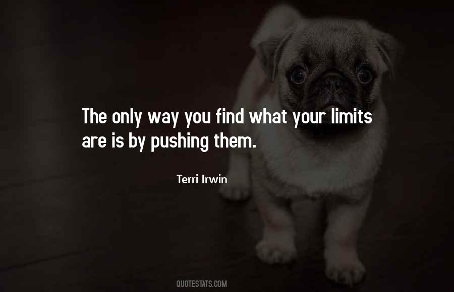 Terri Irwin Quotes #699720