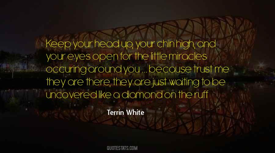 Terrin White Quotes #300160