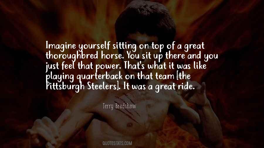 Terry Bradshaw Quotes #8623