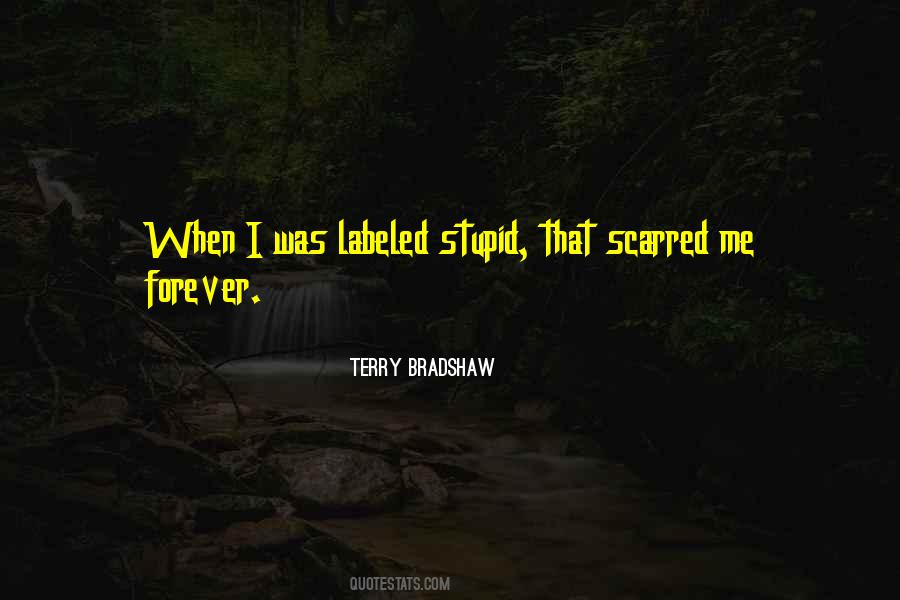 Terry Bradshaw Quotes #991442