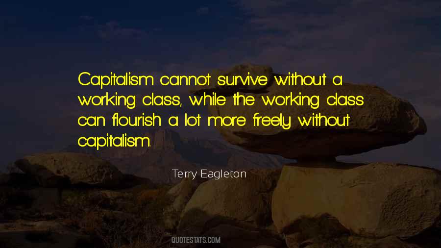 Terry Eagleton Quotes #1049092