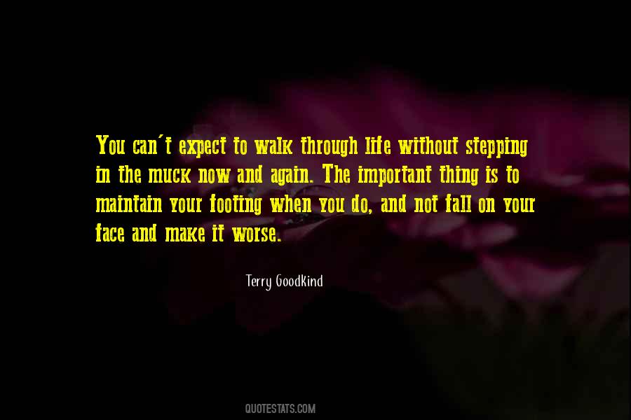 Terry Goodkind Quotes #261015