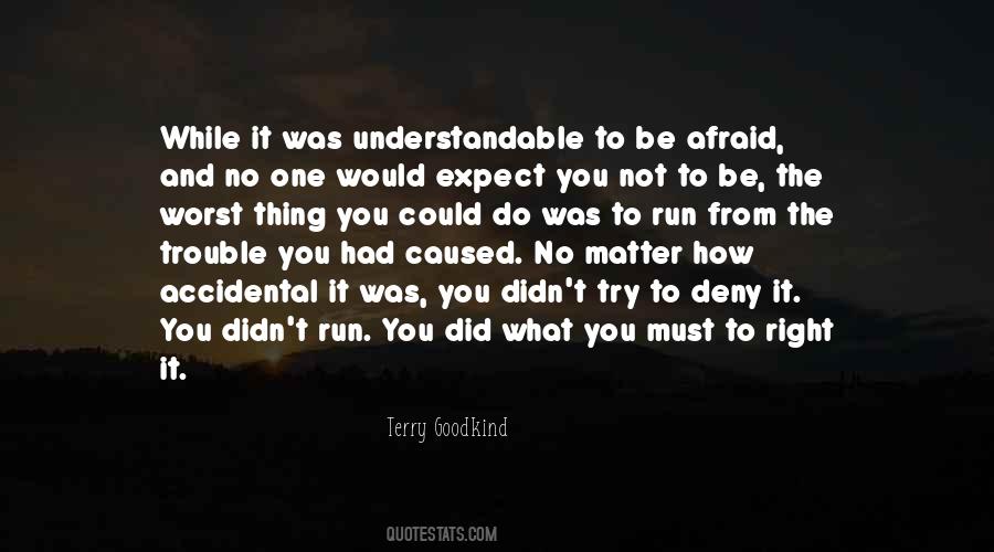 Terry Goodkind Quotes #941064