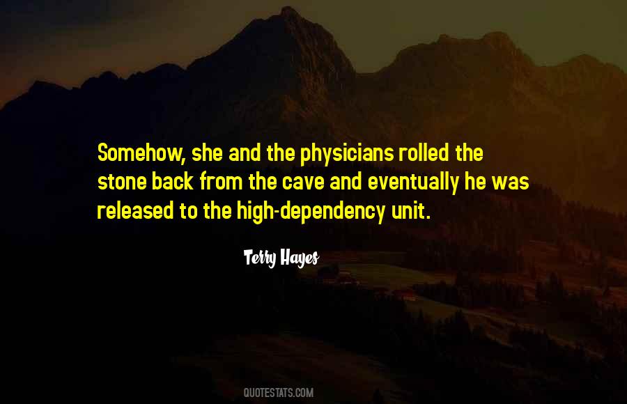 Terry Hayes Quotes #1455229